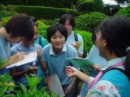 女童軍植物觀察1.JPG