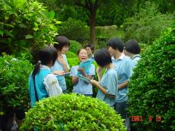 女童軍植物觀察2.JPG