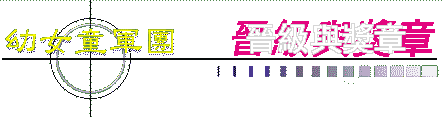 晉級與獎章